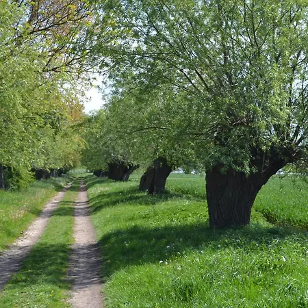 Haus Simone * Insel Poel